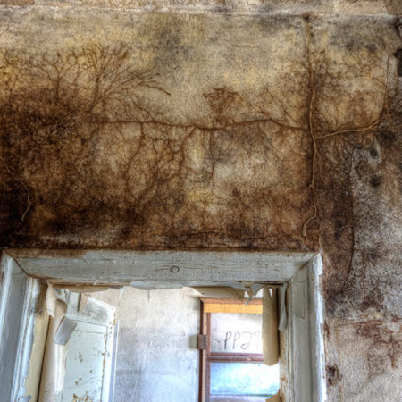 Schimmel an einer Wand